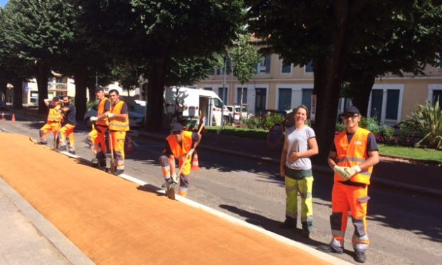 Vienne Goris : chantier d’été