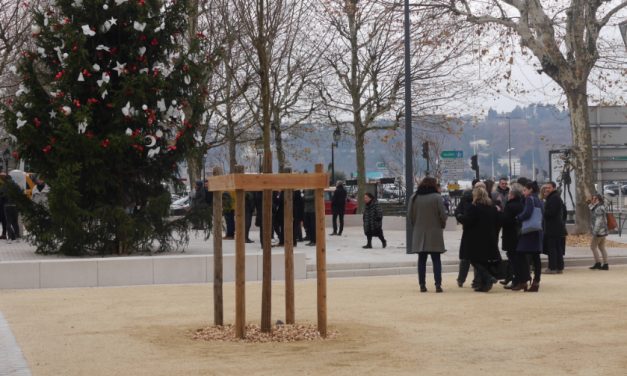 La rue Marchande réhabilitée, inaugurée : il ne reste plus qu’à la repeupler de magasins…