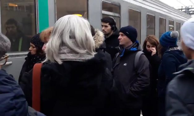 Retards, annulations : récit d’une journée ordinaire sur la ligne SNCF entre Vienne et Lyon