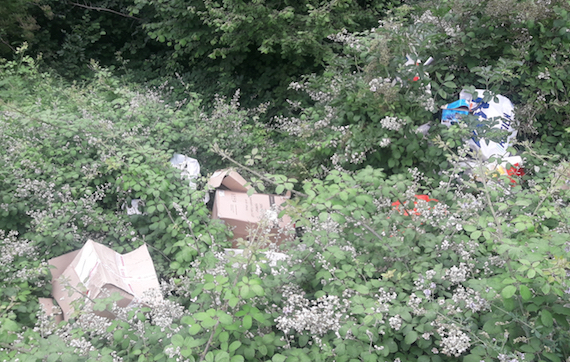 Un habitant pris sur le fait : Chasse-sur-Rhône décrète la “tolérance zéro” contre les dépôts sauvages