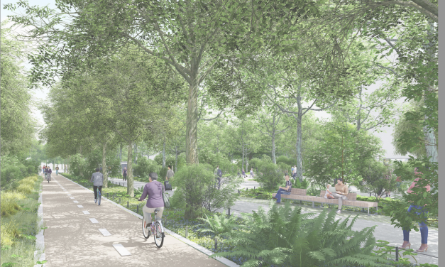 L’exécutif écologiste de la Ville de Lyon va créer un (mini) bois de 120 arbres  dans le quartier  le plus minéral de Lyon, la Part-Dieu  : quelques vues…