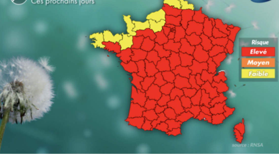 Alerte rouge aux allergènes en Isère ce week-end