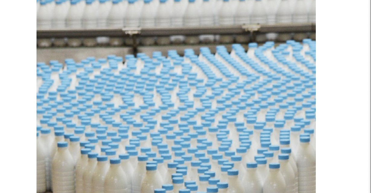 Portes ouvertes, rencontres et dégustation de…lait,  le vendredi 28 juin à l’usine Candia de Vienne-Estressin
