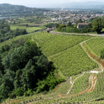 Patrimoine mondial de l’Unesco : les Journées du patrimoine ce week-end à Vienne et alentours auront cette année une coloration œnologique. Les nouveautés 2024