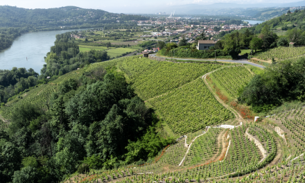 Patrimoine mondial de l’Unesco : les Journées du patrimoine ce week-end à Vienne et alentours auront cette année une coloration œnologique. Les nouveautés 2024