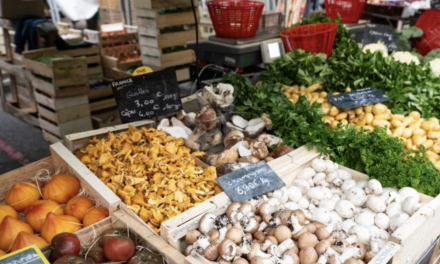 Le parking Camille Jouffray interdit aux voitures : le marché déplacé samedi matin pour permettre le déploiement de la Foire de Vienne