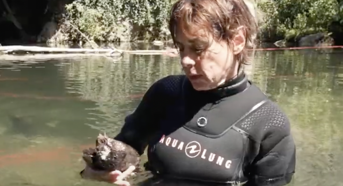 Avant l’installation d’une turbine : vidéo sur les fouilles subaquatique dans la Gère à Vienne