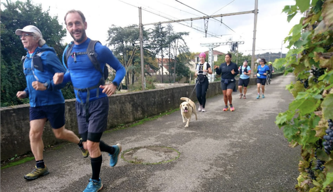 Dimanche, « Courir à Vienne » fête sa 20ème édition