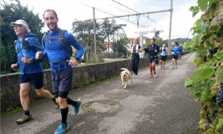 Dimanche, « Courir à Vienne » fête sa 20ème édition