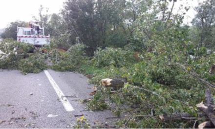 Les dégâts de la tempête Kirk dans le Rhône : près de 90 interventions des services du Département