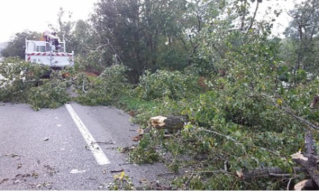 Les dégâts de la tempête Kirk dans le Rhône : près de 90 interventions des services du Département