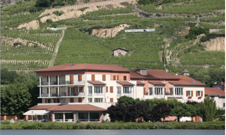 L’hôtel Beau Rivage de Condrieu cité parmi les 20 plus beaux lieux en France pour les amateurs de vins par le journal britannique « The Times »