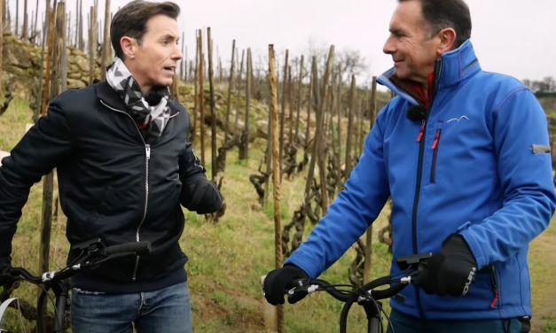 Vidéo-Tupin-et-Semons : Balade sur la rive droite du Rhône