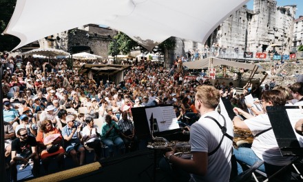 Succédant à l’EPIC Jazz à Vienne, L’EPCC Cybèle Production a désigné les 14 membres de son conseil d’administration