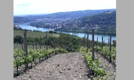 L’annonce du classement en  appellation Côtes-du-Rhône  des coteaux : la municipalité de Chasse-sur-Rhône s’inquiète « des risques environnementaux »