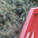 Collecte des sapins à Vienne : où trouver les bennes en centre-ville et dans le quartiers..?