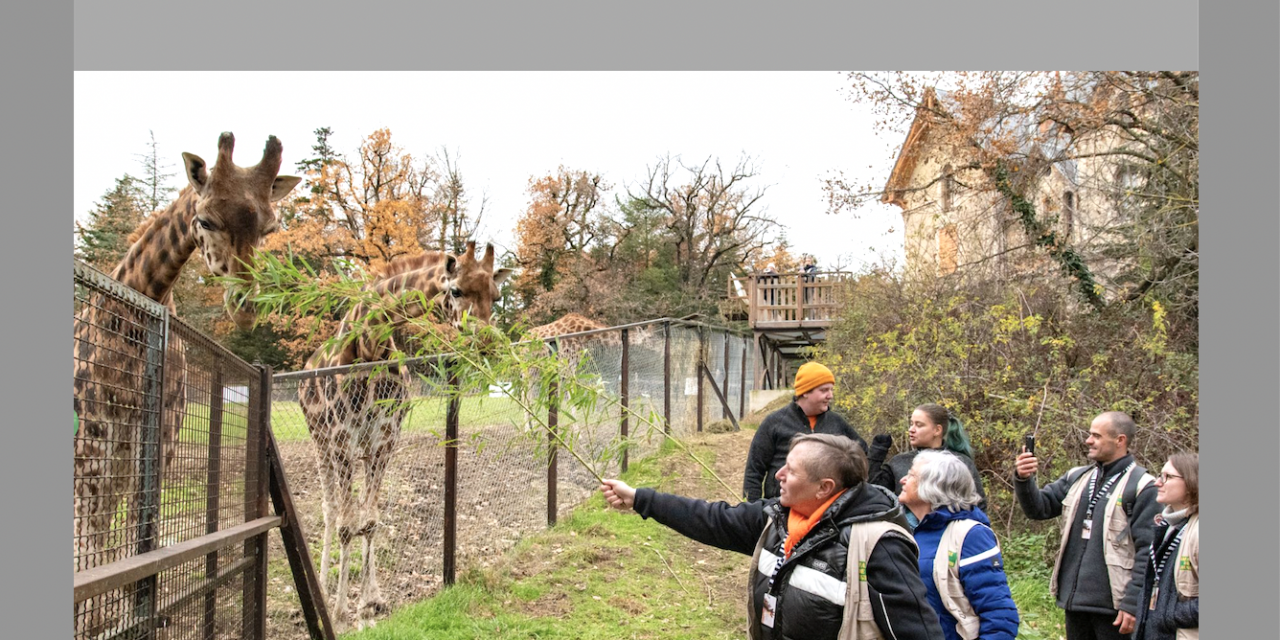 Nouveau nom et nouveau tandem de direction pour le Safari Parc de Peaugres