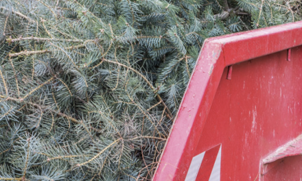 Collecte des sapins à Vienne : où trouver les bennes en centre-ville et dans le quartiers..?