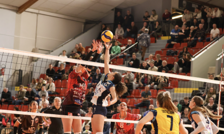 Volley-Ball Pays Viennois, Elite- Elles étaient en déplacement périlleux face au leader Saint-Dié :  les Viennoises défaites