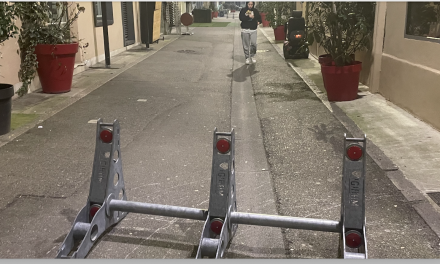 Le conseil municipal décide d’installer… 72 bornes anti-véhicules béliers pour sécuriser l’ensemble du marché du samedi matin à Vienne