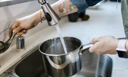 PFAS : lancement dans la Vallée lyonnaise de la Chimie d’une  vaste procédure collective pour demander réparation