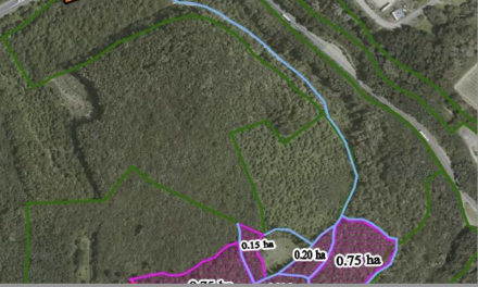 Coupe rase de près de 2 ha dans la Forêt de Malissol à Vienne : une réunion publique le 3 mars