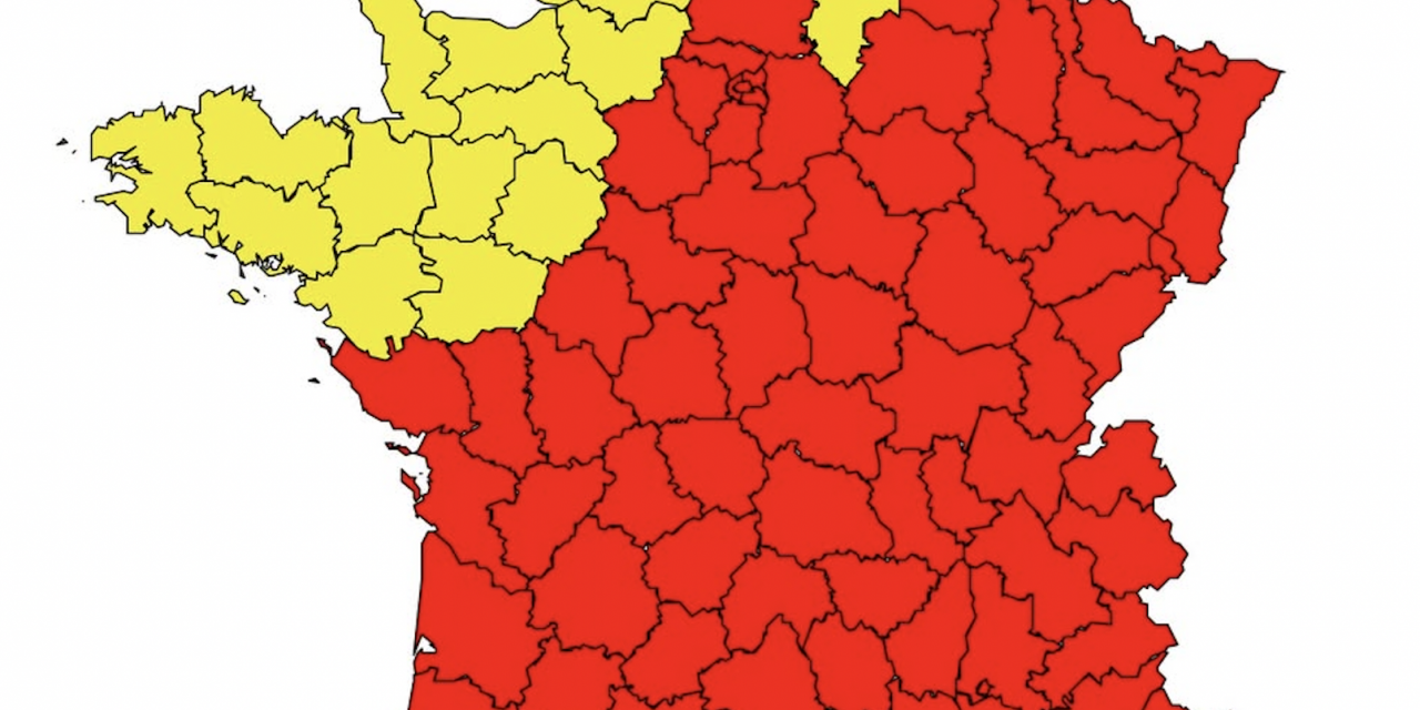 Alerte rouge au pollens en Isère,  sur le Rhône et tous les départements d’Auvergne-Rhône-Alpes