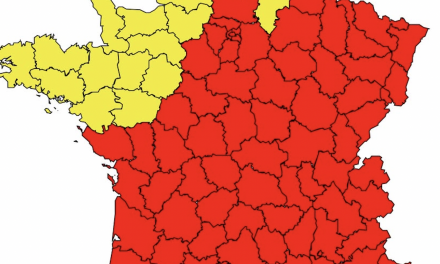 Alerte rouge au pollens en Isère,  sur le Rhône et tous les départements d’Auvergne-Rhône-Alpes