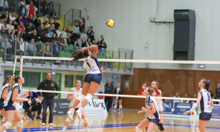 Volley-Ball, Elite-Les Viennoises l’emportent face à Vitrolles : les play-offs désormais à portée de main