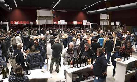 Vide-Grenier ; Salon des vins bio ; Blues ; Jazz Manouche,  voitures anciennes, etc. : où sortir à Vienne et alentours, mercredi et ce week-end